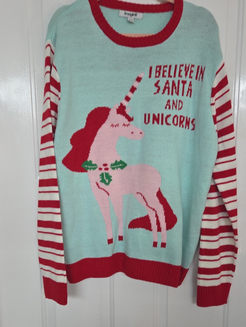 I Believe in Santa and Unicorns Mint & Pink Holiday Sweater xl